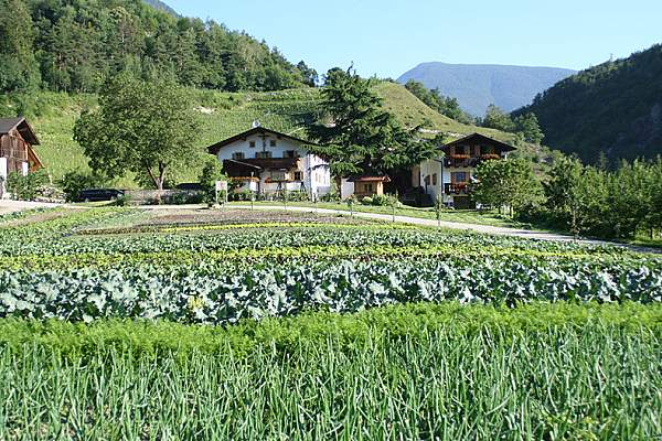Ferienwohnung Trentino-Südtirol - Vahrn