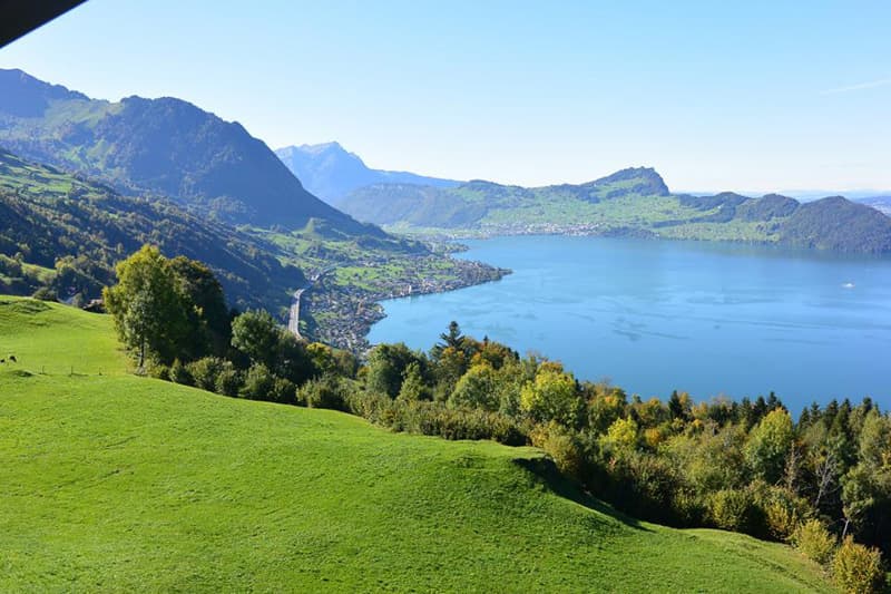 Ferienwohnung BellaVista Alp-Enzian in Emmetten