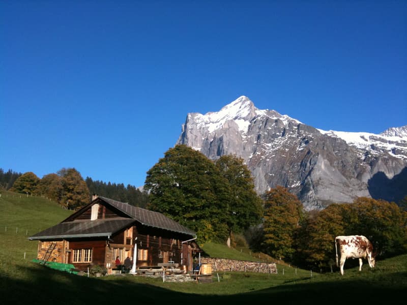 Ferienhaus Alphütte Grindelwald in Grindelwald