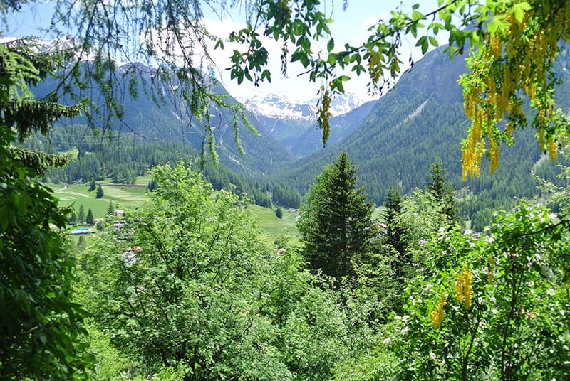 Ferienhaus Muntanella — Bild 2
