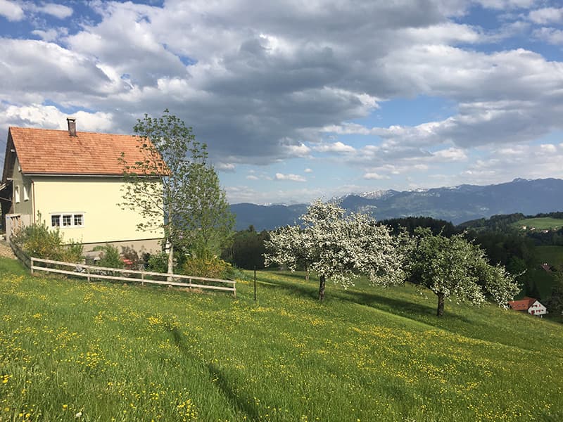 Ferienwohnung Hirschberg — Bild 3
