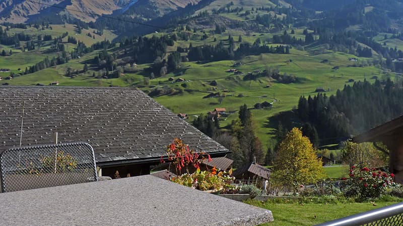 Ferienwohnung Wohnung Chalet Mani — Bild 3