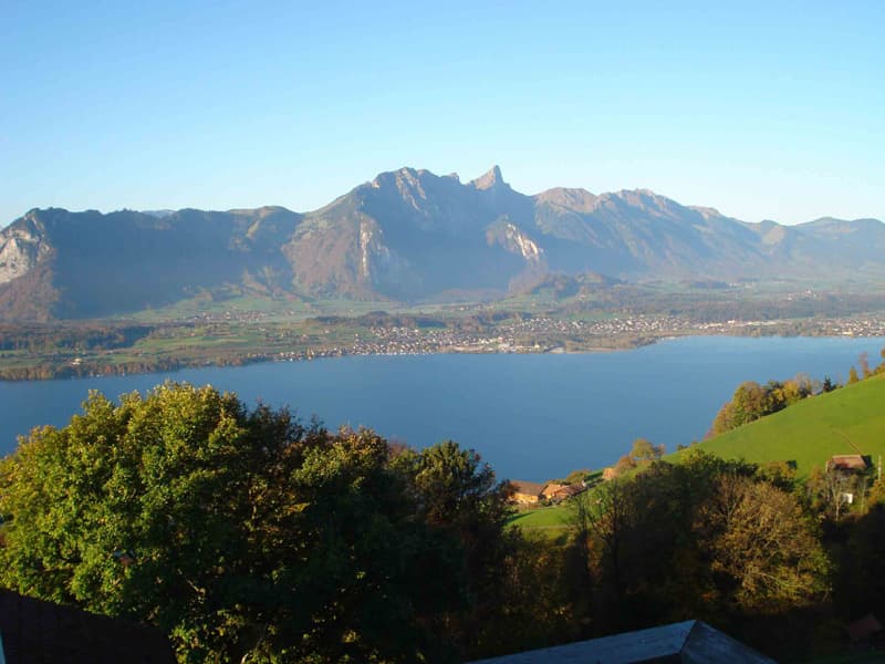 Ferienwohnung Chalet Eichli — Bild 3