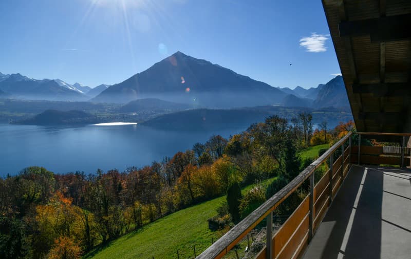 Ferienwohnung Chalet Haftka — Bild 2