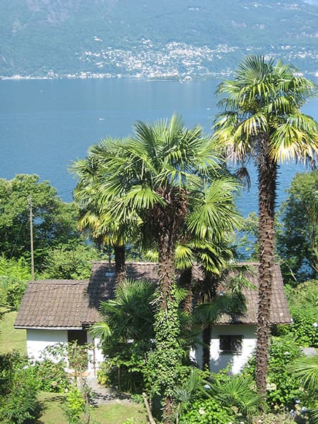 Ferienhaus Casa Bühler — Bild 2
