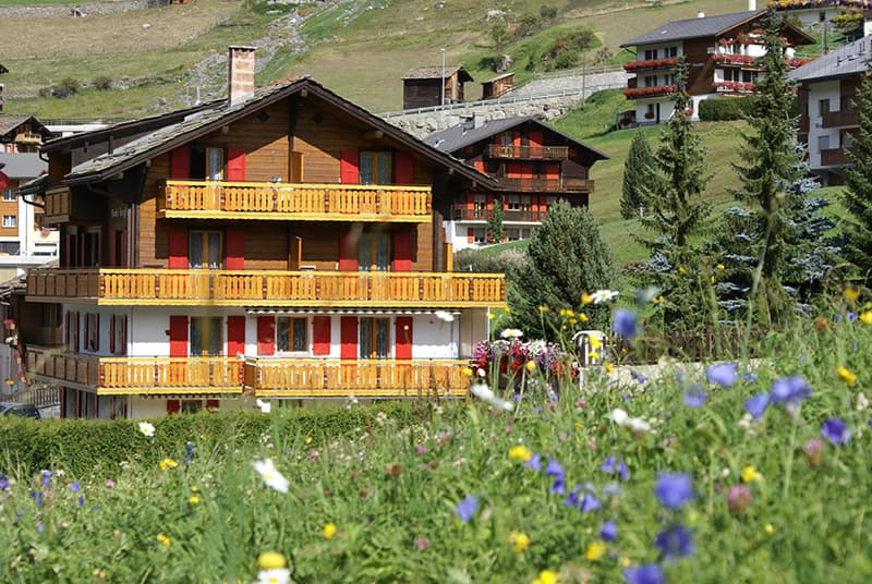 Ferienwohnung Chalet Bergfink in Grächen