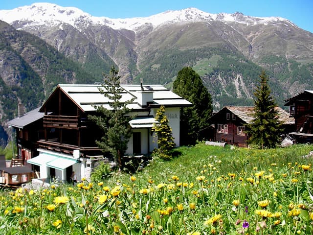Ferienwohnung Chalet Goldblick in Grächen