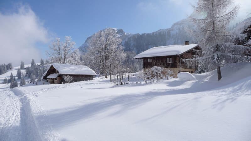 Ferienhaus Chalet Axalp — Bild 2