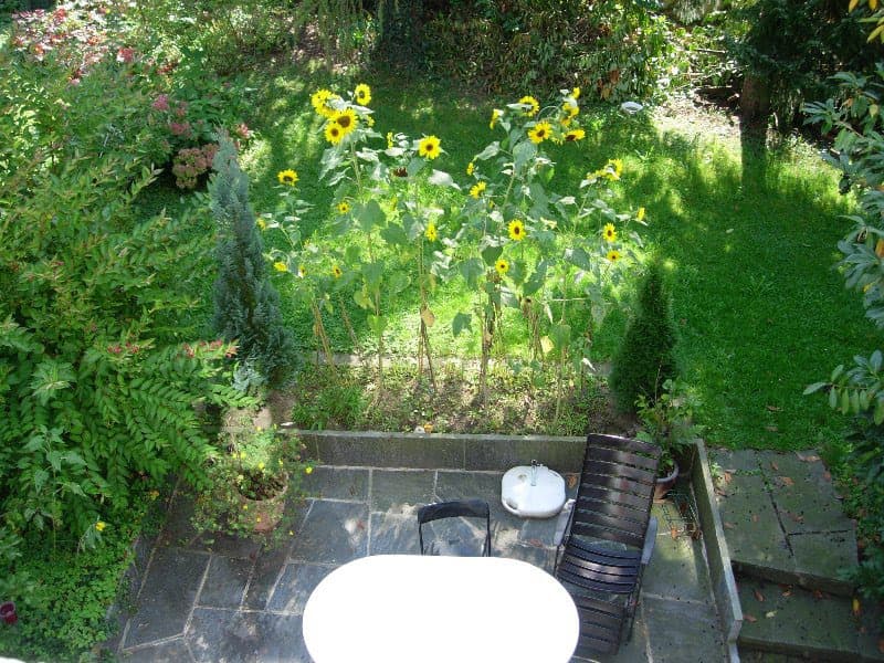 Ferienwohnung Luzern am Rotsee — Bild 2