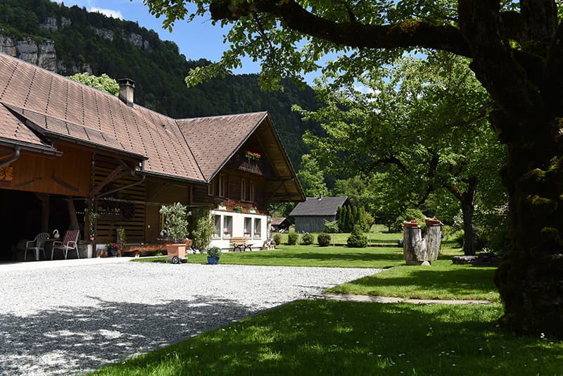 Ferienwohnung Wiltschen — Bild 2