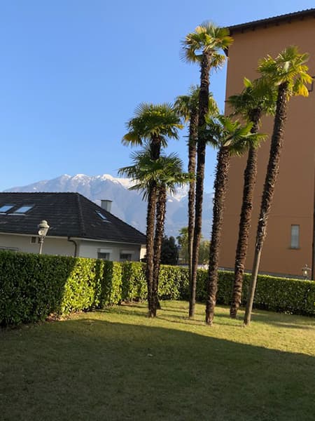 Ferienwohnung Casa Franconia in Locarno-Muralto