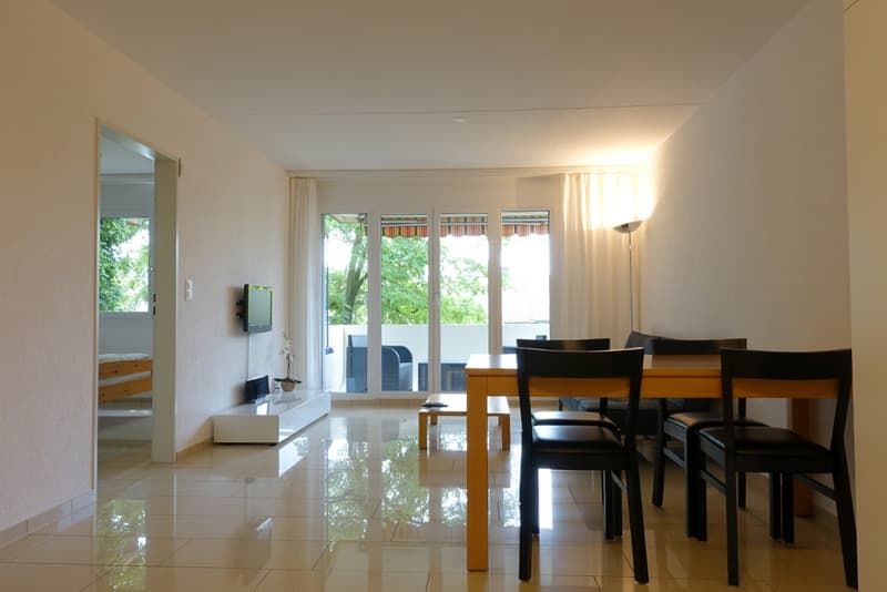 Ferienwohnung Ferienwohnung in Zürich in Zürich