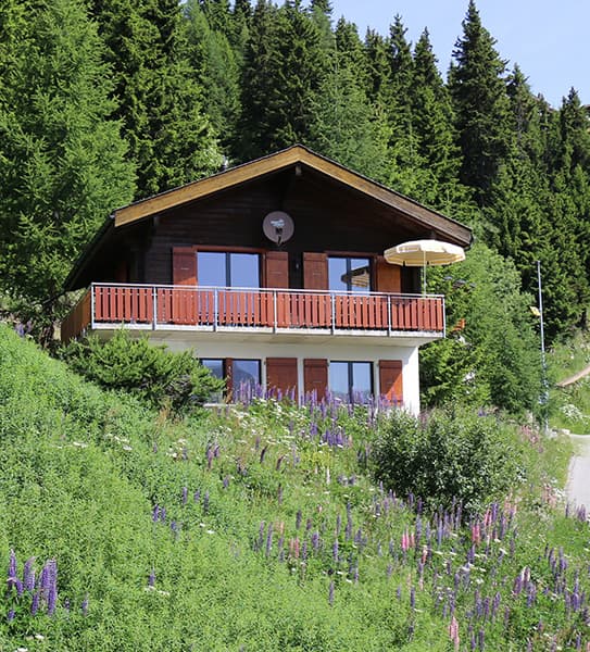 Ferienhaus Chalet Brunnquell — Bild 2