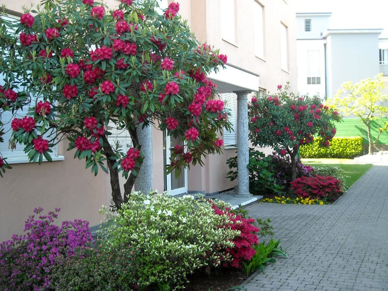 Ferienwohnung Residenza al Mulin — Bild 2