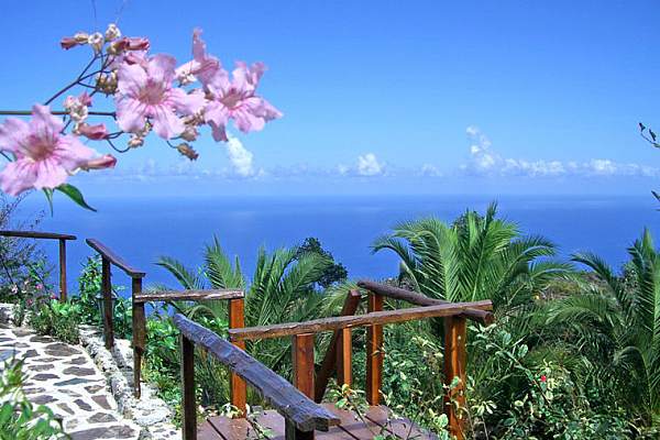 Ferienhaus Kanarische Inseln - Icod de Los Vinos auf Teneriffa Foto